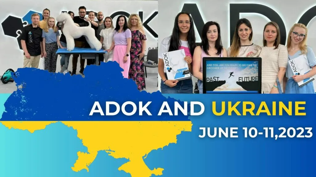 <h2 class="titolo-evento"><STRONG>ADOK AND UKRAINE</STRONG></h2>