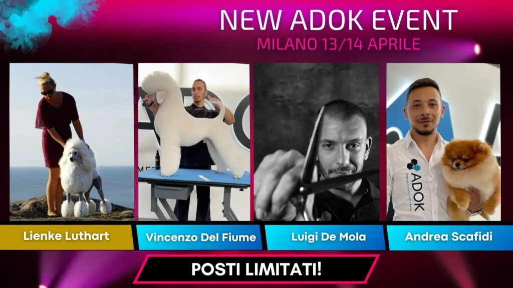 <h2 class="titolo-evento"><STRONG>NEW ADOK EVENT – MILANO</STRONG></h2>