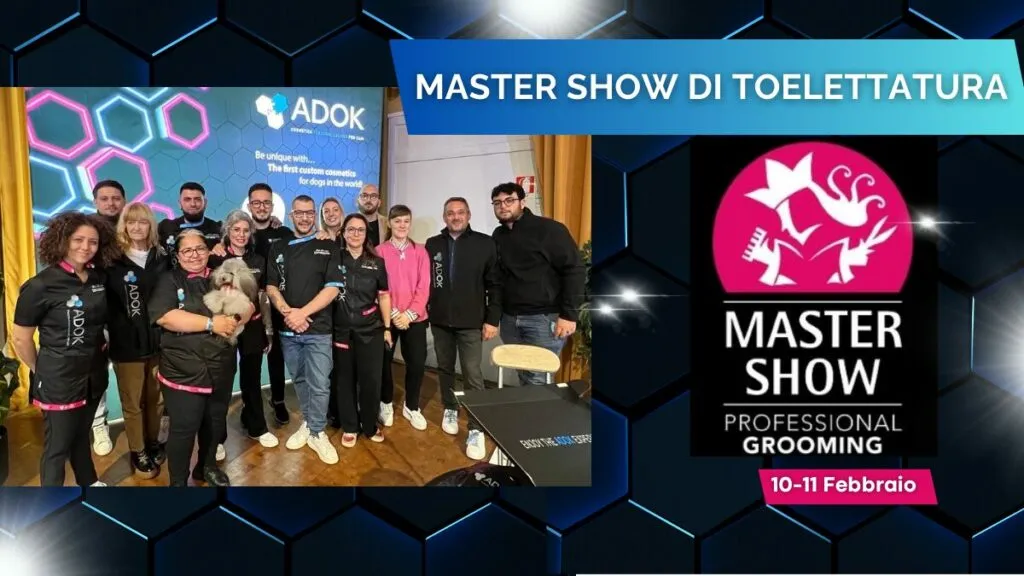 <h2 class="titolo-evento"><STRONG>ADOK – MASTER SHOW 2024</STRONG></h2>
