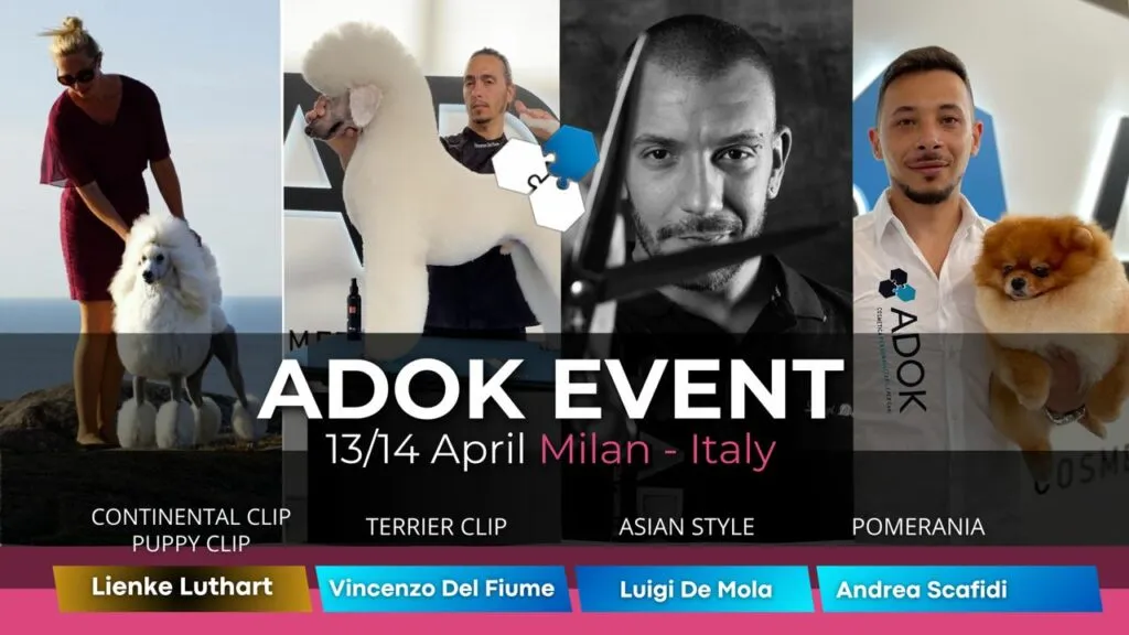 <h2 class="titolo-evento"><STRONG>ADOK EVENT – L’EVENTO DI TOELETTATURA PIU’ ESCLUSIVO DI SEMPRE</STRONG></h2>
